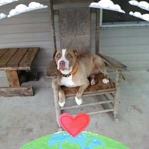 Meet your Posher, Wayne